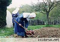 Ora et labora Ora et labora